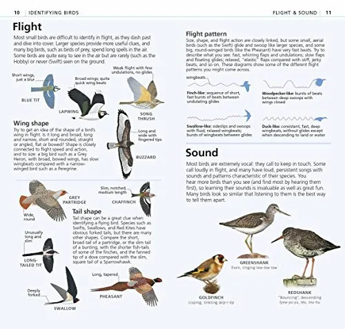 RSPB Whats that Bird: The Simplest ID Guide Ever by DK (Paperback 2012) 3