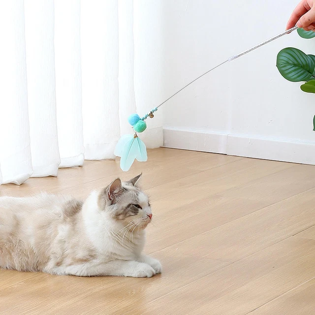 Cat  Toy Cat Teaser  Catcher Exercice d'entraînement Plume