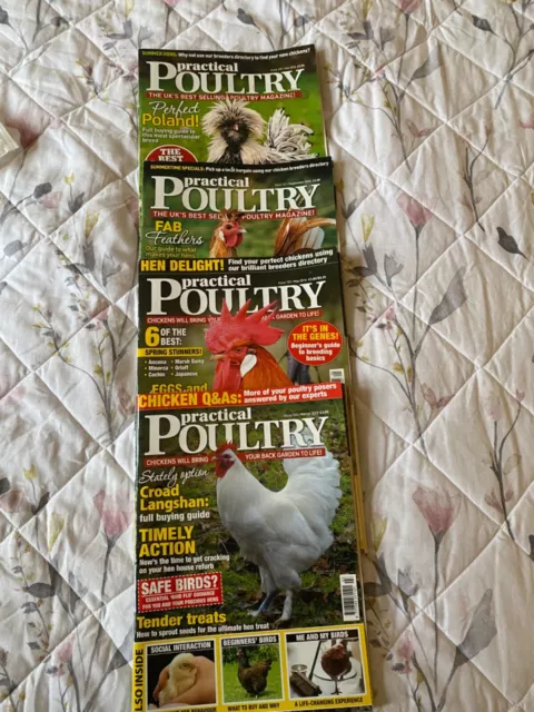 practical poultry magazines