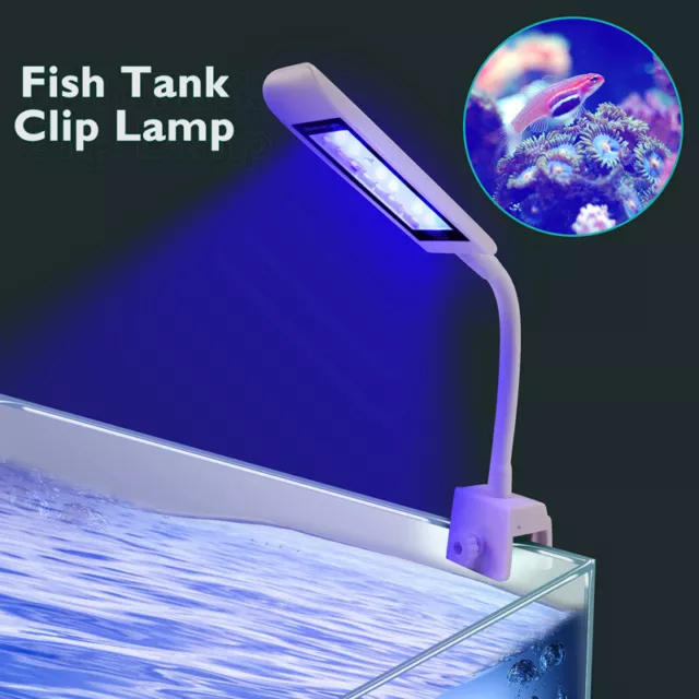 Aquarium Lights for Fish Tank Clip on LED Fish Tank Light For 5-10 Gallon Fish