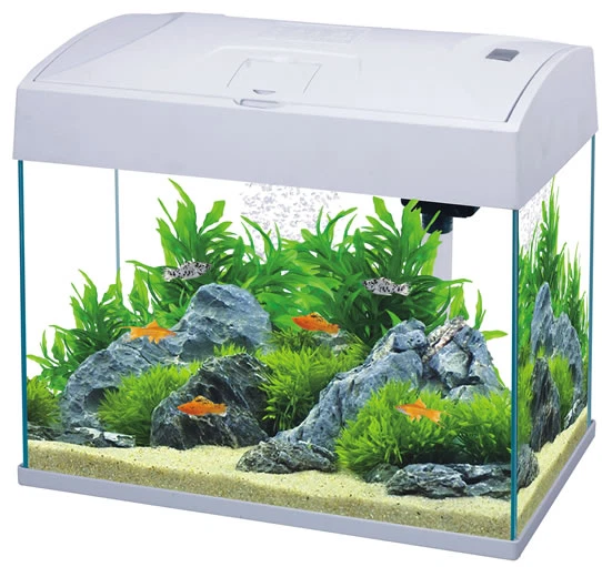 Fish 'R Fun Aquarium 20L White LED Starter Fish Tank Filtration Filter LED Light