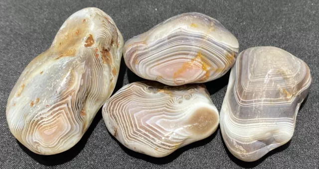 Pre-tumbled Botswana Agates, Lot of 4- Extreme Banding!