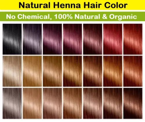 100% Organic Henna Hair Color Chemical Ammonia free Hair Dye Natural chose 15 GM