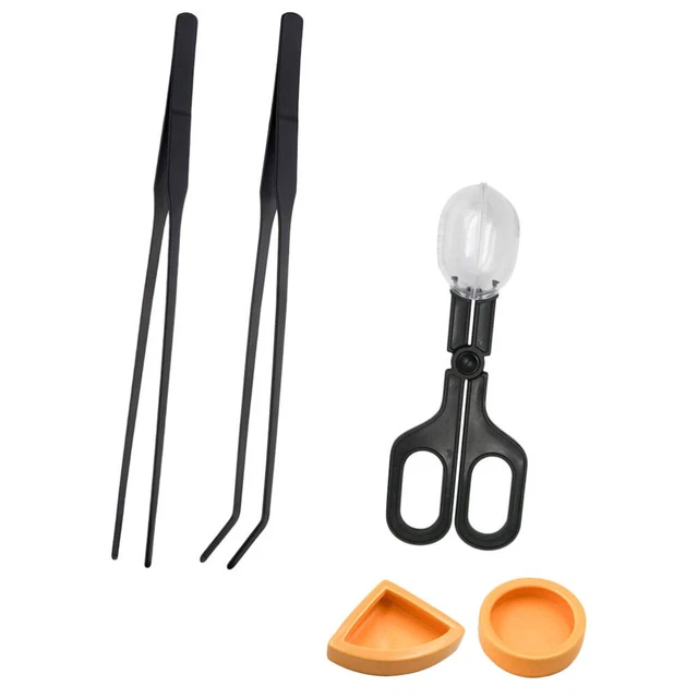 1 juego de alimento para tortugas lagarto alimento reptiles cuenca alimentaria kit suministro de reptiles