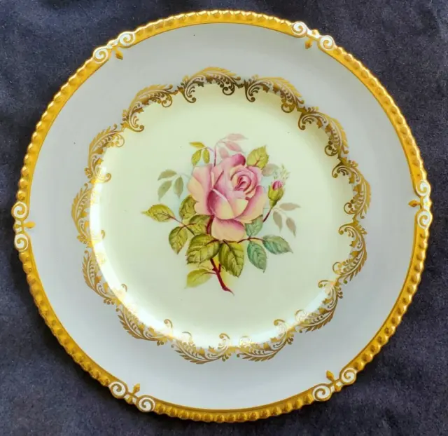 Aynsley Dinner Cabinet Plate Hand Painted Cabbage Rose Signed G. Bentley Rare