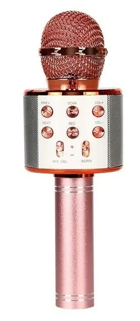 Wireless Microphone Hifi Speaker Handheld KTV WS_858 Rose Gold NIB