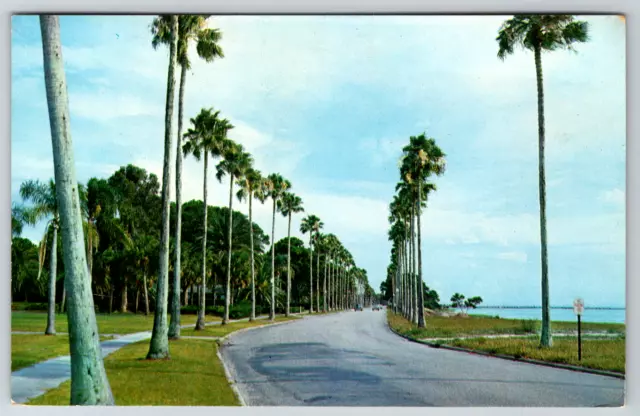 c1960s Majestic Royal Palms Line Road Vintage Postcard