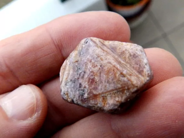 Minerales " Bonito Cristal En Crecimiento De Rubi(Gema)  De Tanzania  - 1C15 "