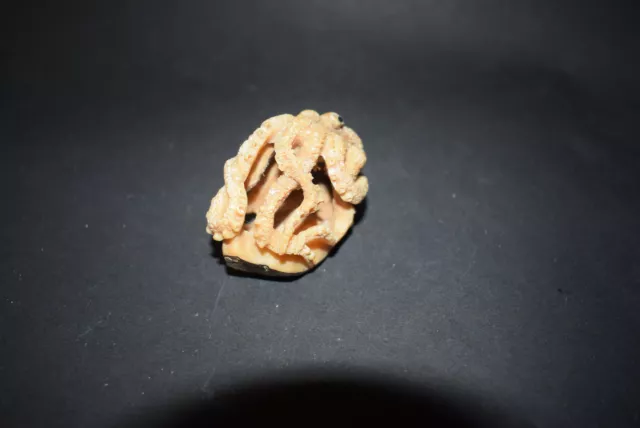 Netsuke, Taguanuss, sich windender Oktopus, Augen aus Onyx, sign., ca.50mm 2