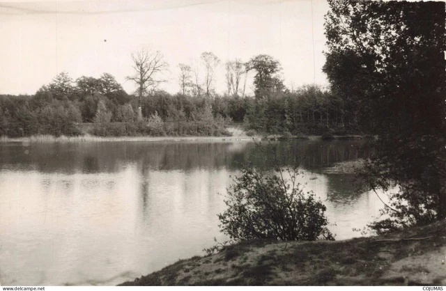 95 - PRESLES COURCELLES - S16192 - l'Etang de la For�t de Barnelle  CPSM 14x9 cm
