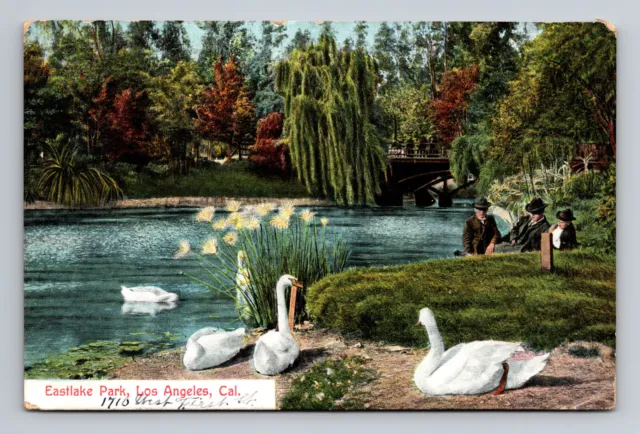 Antique c1910 Hand Tinted Postcard Eastlake Park Los Angeles CA Swans Flowers