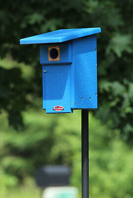 Recyclé Old Growth bois Bluebird Collectible Birdhouse avec charnière/inclinée toit 