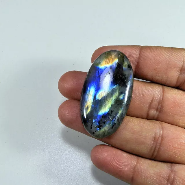 65 Cts. Natural Multi Flash Labradorite Oval Cabochon Gemstone H157-21 L317