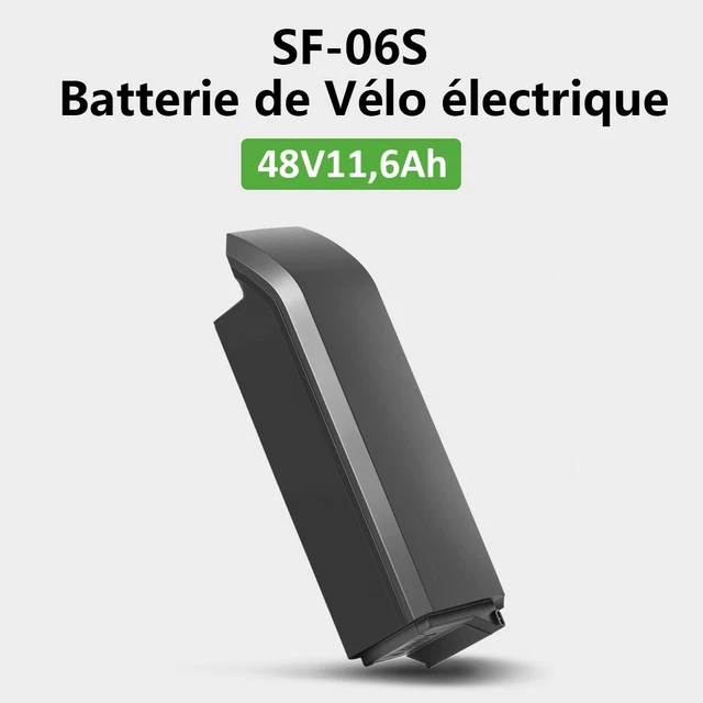 E-Bike Pedelec Batterie 48V 14Ah 672Wh Reention EEL Pro avec 2A Chargeur