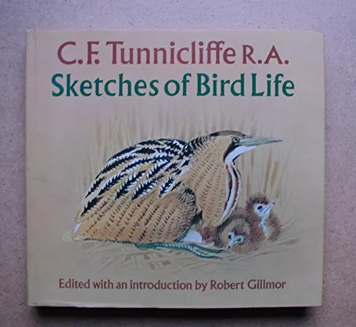 Sketches of Bird Life