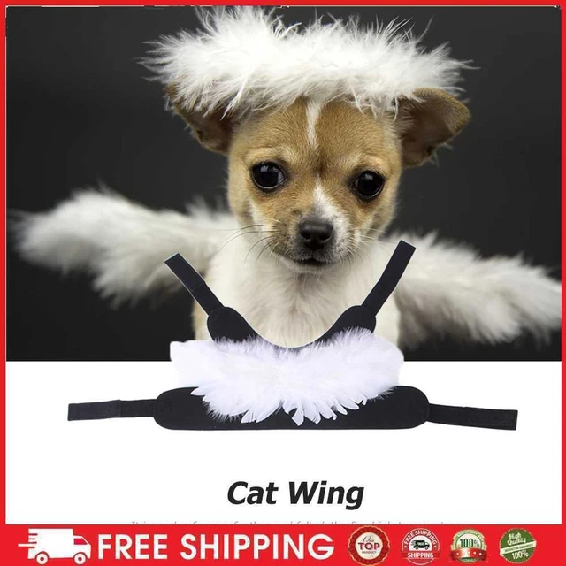 Halloween Pet Feather Wings angelo demoniaco leggero per gattini cuccioli (bianco M)