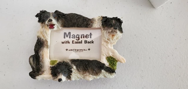 Small border collie magnetic picture frame