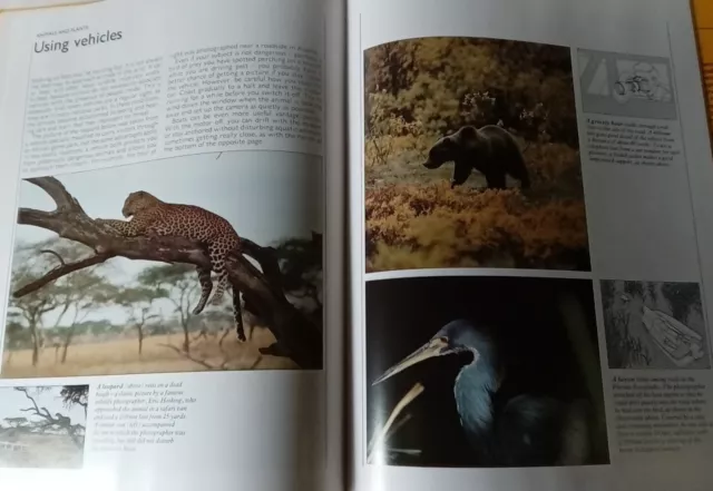 Capture The Beauty In Nature The Kodak Encyclopedia Of Creative Photography 1984 3