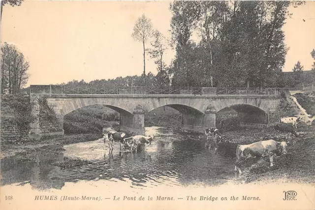 br107442 humes le pont de la marne  france taureaux cow bull