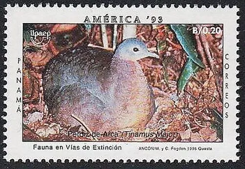 Upaep Panama 1126 1993 Tinamus Major Vogel Bird Fauna MNH