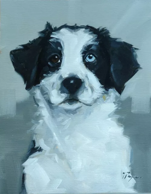 Original art - Oil painting - border collie dog portrait by UK artist j payne