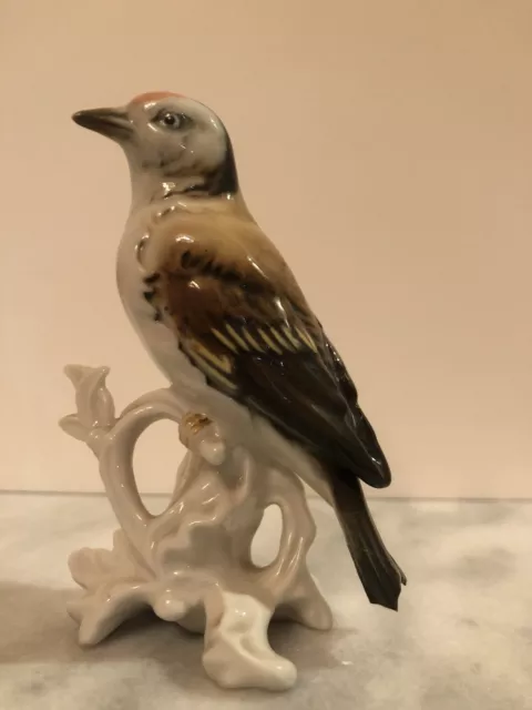 Karl Ens Oiseau Chardonneret Porcelaine de Saxe. RARE