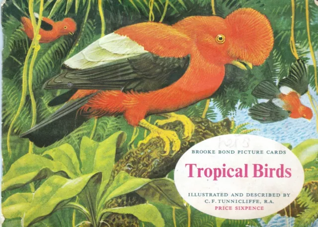 VINTAGE Brooke Bond / PG Tips Tea Cards "TROPICAL BIRDS" in Album