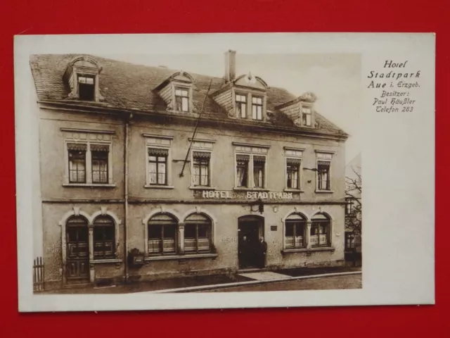 alte AK AUE im Erzgebirge Ansicht Hotel Stadtpark um 1910 ( F 17503