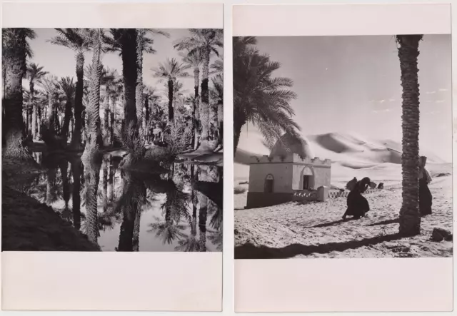 18x13 - ALGERIE Phot. Jean Morin/Alger 1950 -TAGHIT- 2 Vintage argentic prints