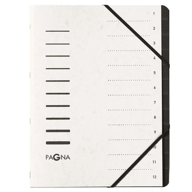 PAGNA Ordnungsmappe 12 Fächer 1-12 grün 40059-03 (4013951008069)