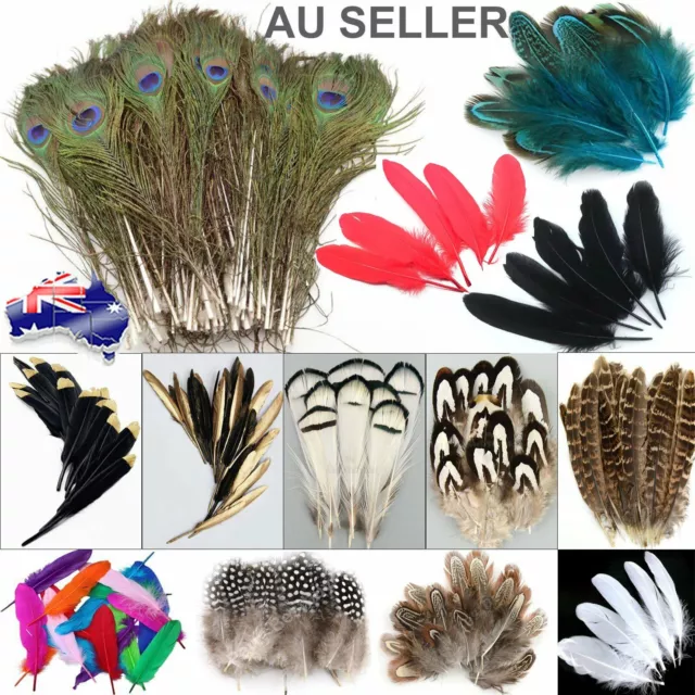 Mix Hen Pheasant Peacock Tail Eye Goose Feathers Wedding Millinery DIY Craft AU 2