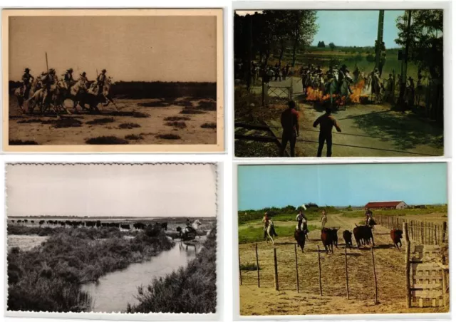 CAMARGUE FRANCE HORSE RIDING, 40 Vintage Postcards (L6115)