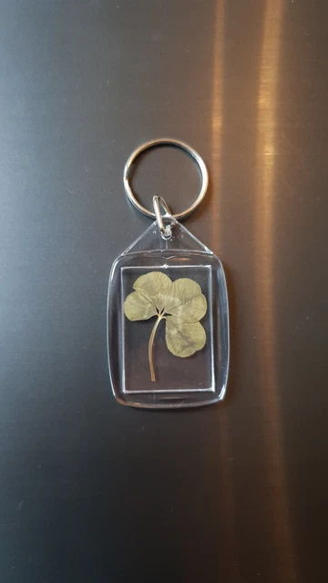 Porte-clés Trèfle à Quatre Feuilles Et Coccinelle - Porte-bonheur - Cadeau Chance - Alliage Zinc