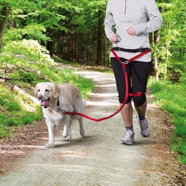 Trixie Waist Belt Dog Jogging Lead Medium Large Cani-Cross Shock Absorber Bungee