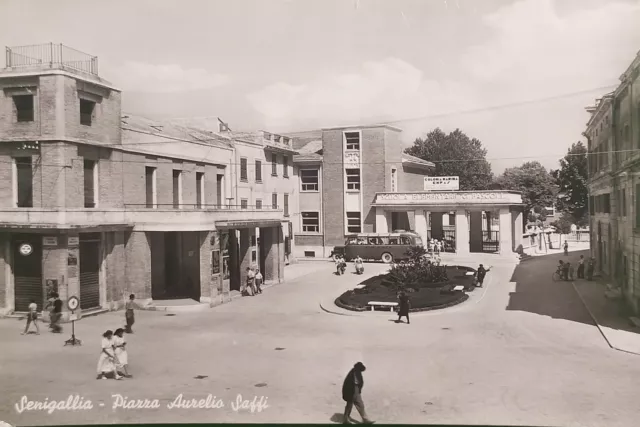 Cartolina - Senigallia - Piazza Aurelio Saffi - 1955