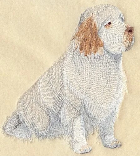 Embroidered Long-Sleeved T-Shirt - Clumber Spaniel C4973 Sizes S - XXL