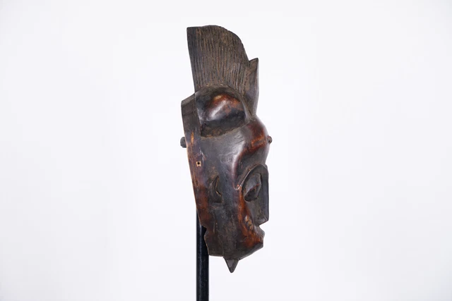 Gorgeous Baule Mask 16" - Ivory Coast - African Art 3