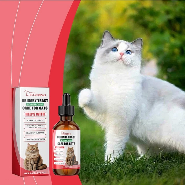 Curated visual reference: Fresh Look at Urinary Tract For Cats Natural Cat Urinary Tract 9Cf2 Drops