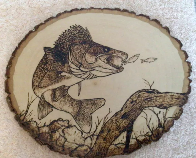 Basswood Walleye - wood burn art pyrography 13x11” solid live edge hand burned