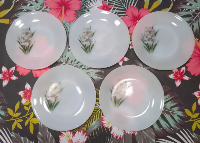 Lot 5 assiettes plates - Arcopal - Décor fleurs Narcisse - Ø 23 cm - Vintage