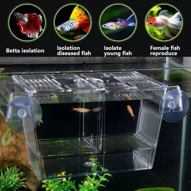 Acrylic  Tank Breeding Box Baby Fish Separator Aquarium Isolate Hatchery Cube