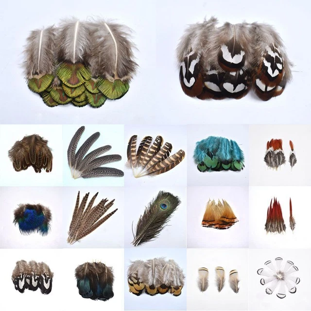 Natural Ostrich Feathers - Peacock Pheasant Feather Jewelry Making Decorations
