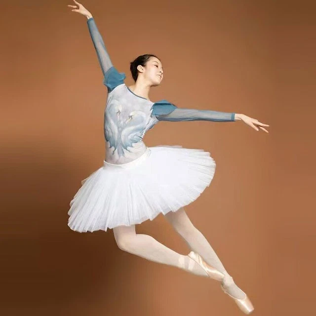 Ballet Dancing Swan Adult Ballerina Performance Hard Mesh Tulle Skirt