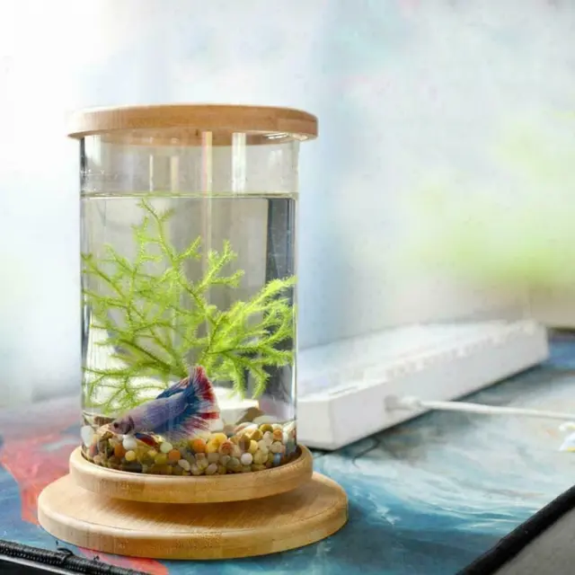 Small Fish Tank Decor Fish Bowl Accessories Betta Glass S0E1 Base Aquarium M7G6