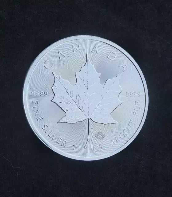 2023 Silver Canadian Maple Leaf Bullion Coin in Capsule UNC