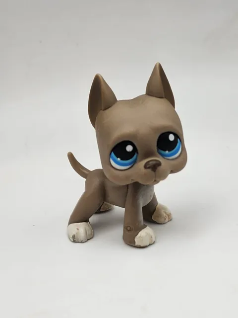 Littlest Pet Shop LPS Authentic Gray Great Dane #184 Blue Eyes White Socks Dog