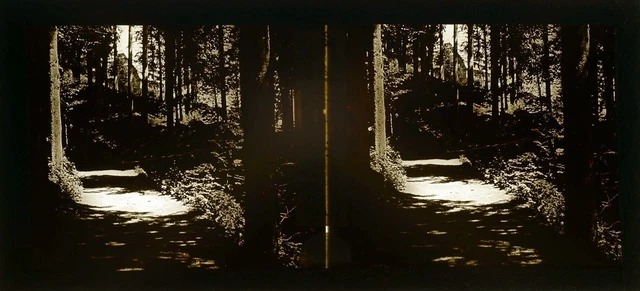 stereo view, Swiss, Braunwald, Nierders, vue stéréoscopique, plaque verre 6x13
