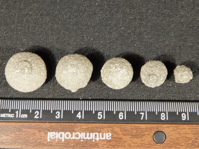 Graduated Boji Stone Family From Kansas 25.8gr