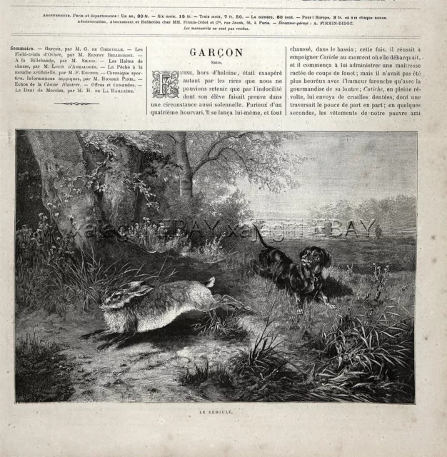 Dog Dachshund Teckel Dackel, Hunting Pursuing Rabbit Hare, 1880s Antique Print 3