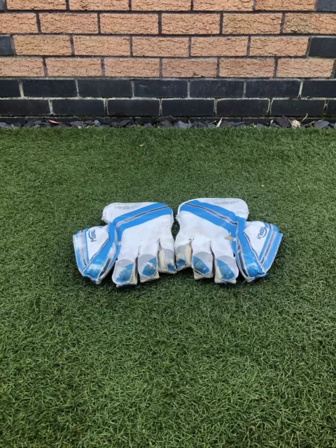 Wicket Keeping Gloves